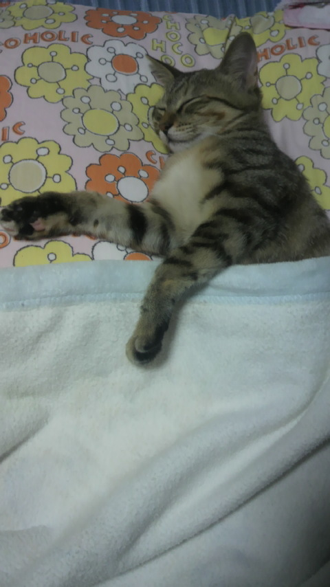 P1000547.jpg