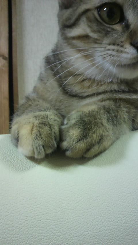 P1000567.jpg