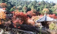 一願大師と六角堂