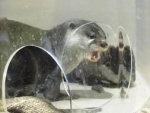何か?起こったの