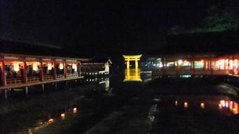 夜の厳島神社