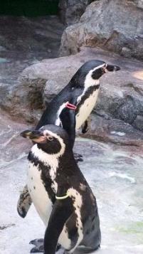 こんにちは(^O^)/