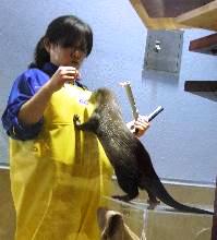 あそぼ