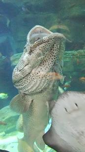 あら、まぁ・・・