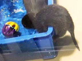 よっこいしょ