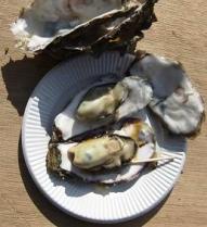 牡蠣2個