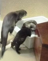 入ろうかな