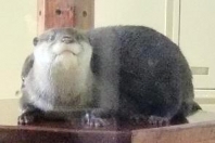 こんにちは