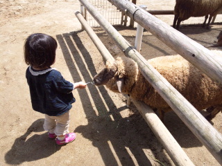 0517みさき公園1.jpg