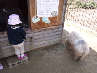 0517みさき公園2.jpg