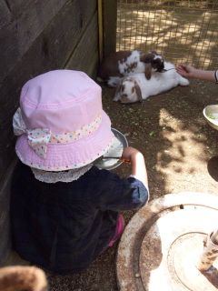 0517みさき公園3.jpg