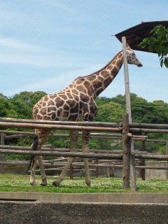 0517みさき公園4.jpg