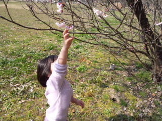 28日お花.jpg