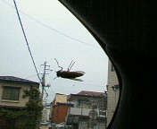 200706281634000.jpg