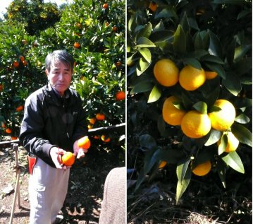 Vol.318 湯河原 こころ微笑む香り旅 その3