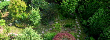 Vol.351 庭の風景 初夏の花たち(6月〜7月) 〜 大磯にて