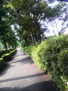 2008060615260000.jpg