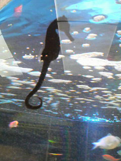 2012071920260000.jpg