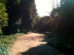 20111027_2054738.jpg
