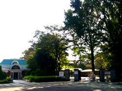 20111027_2054740.jpg