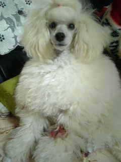 20070403_307941.jpg