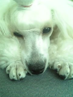 20070510_320026.jpg