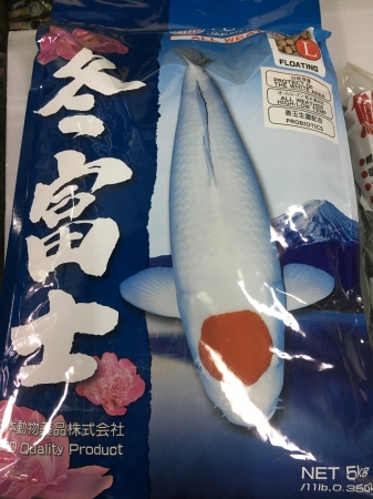 冬富士