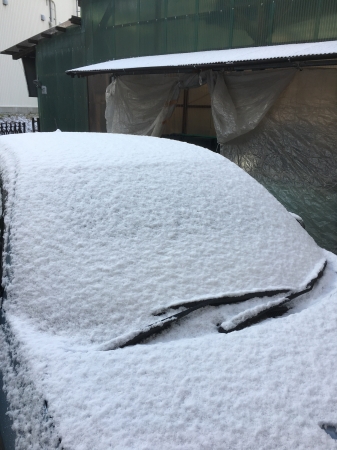 雪