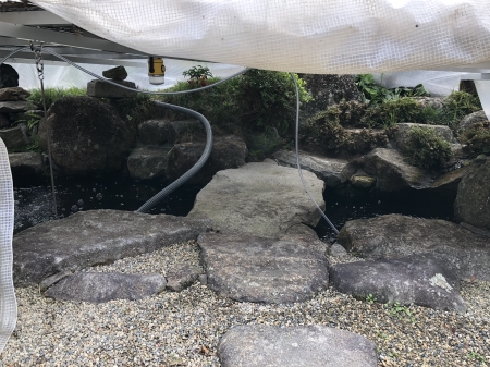お客様の池
