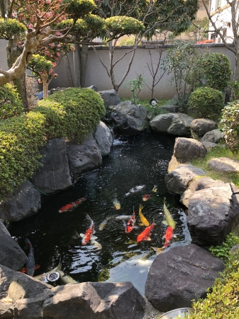 お客様の池