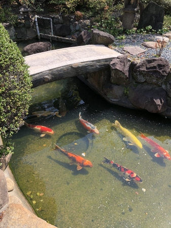 お客様の池