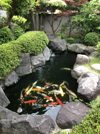お客様の池