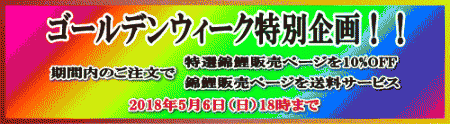 ゴールデンウィーク企画