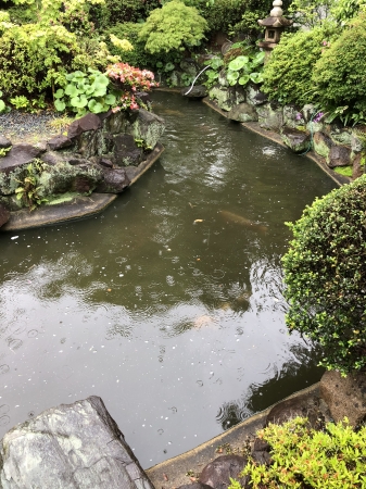お客様の池