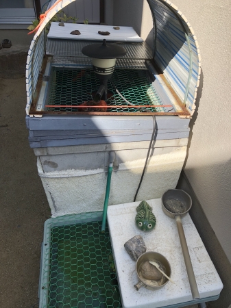お客様の水槽