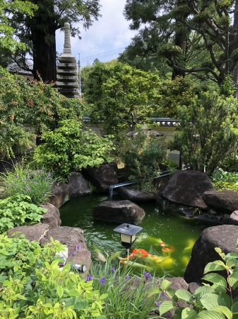お客様の池