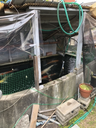 お客様の池