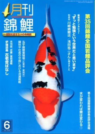 月刊錦鯉2018 6月号 No.373