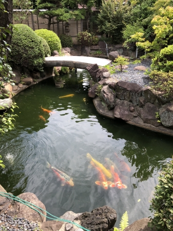 お客様の池
