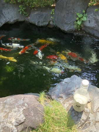 お客様の池