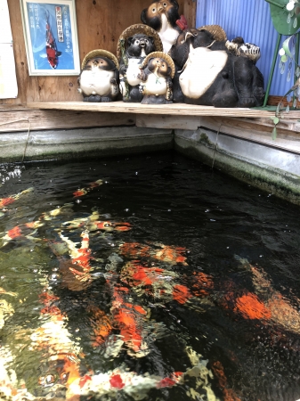 お客様の池