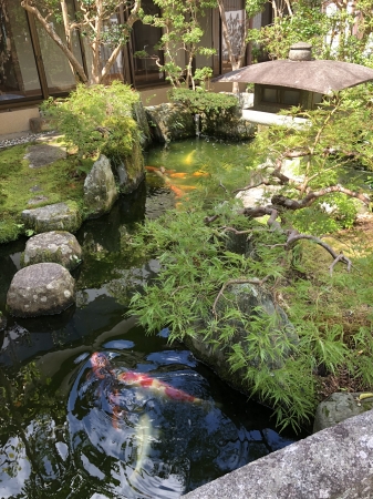お客様の池