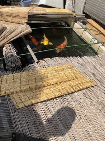 お客様の池