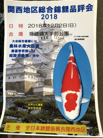 関西地区総合錦鯉品評会2018