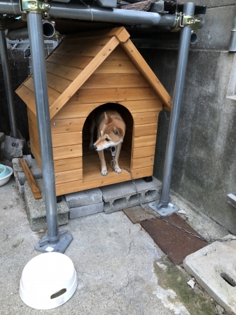 犬小屋