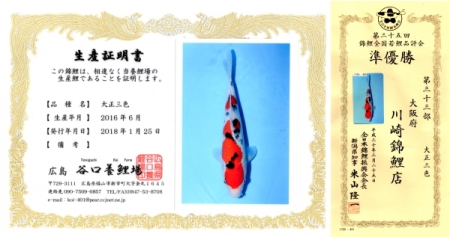生産証明書、短冊
