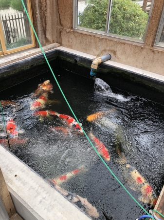 お客様の池
