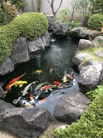 お客様の池
