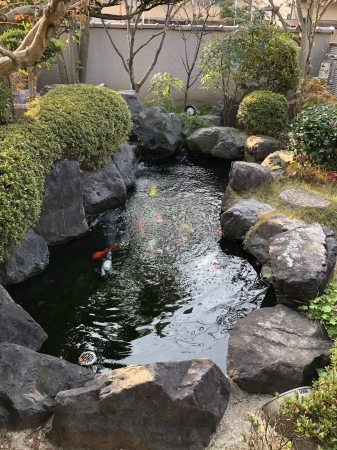 お客様の池