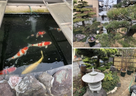 お客様の池、庭